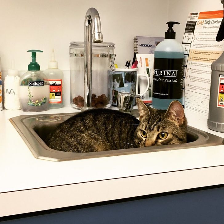 75d87f5ed8abc4820d4e241391