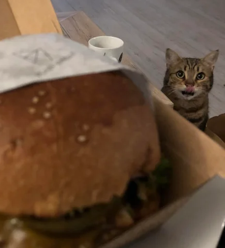 75d96c598a80672239bece00ae