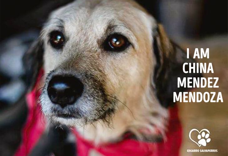 75da04577ab532744f2e89fe18