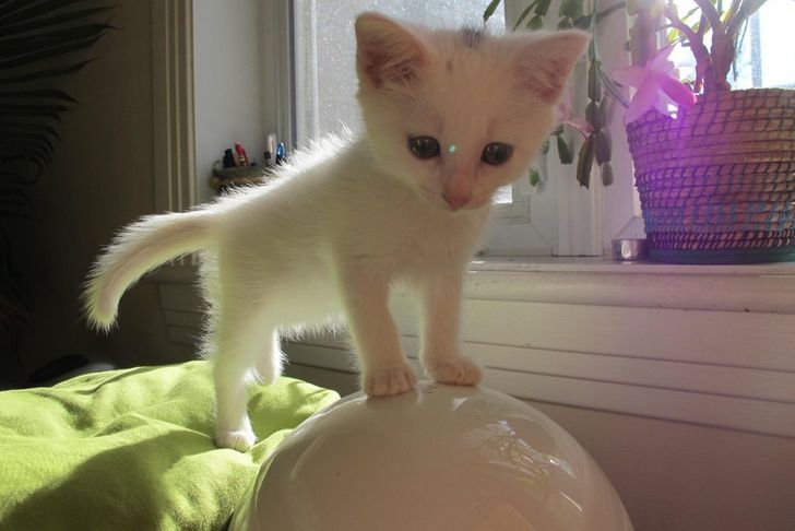 75da2e5b80b0cd29e7725b5ba7