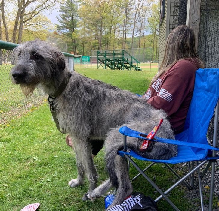 75e00c5fa2a658b8818fabf354