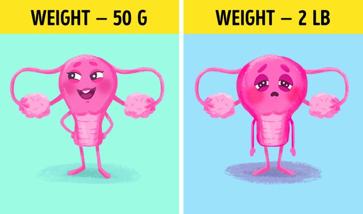 75e266536db691fb5b3620f83a