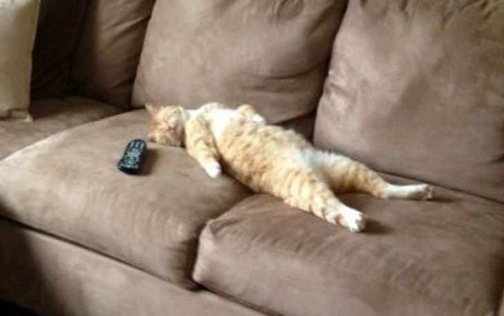 75e3235caf83a32d8ad58f11bd