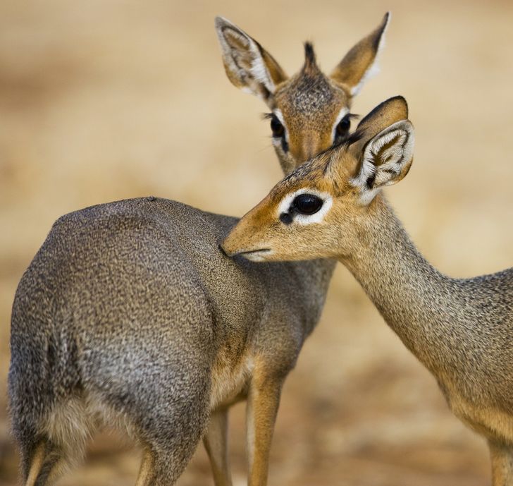 75ee4d5e9a9ccd8f13c35c1319