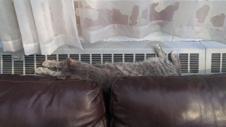 75f9eb5258b0bbc67cf0bfee85