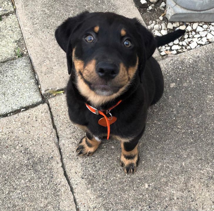 75fcb855738ef0475be231f49a