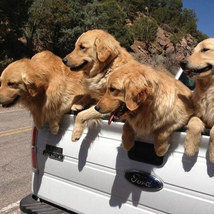 75fd155156be496d61b9fb31f4