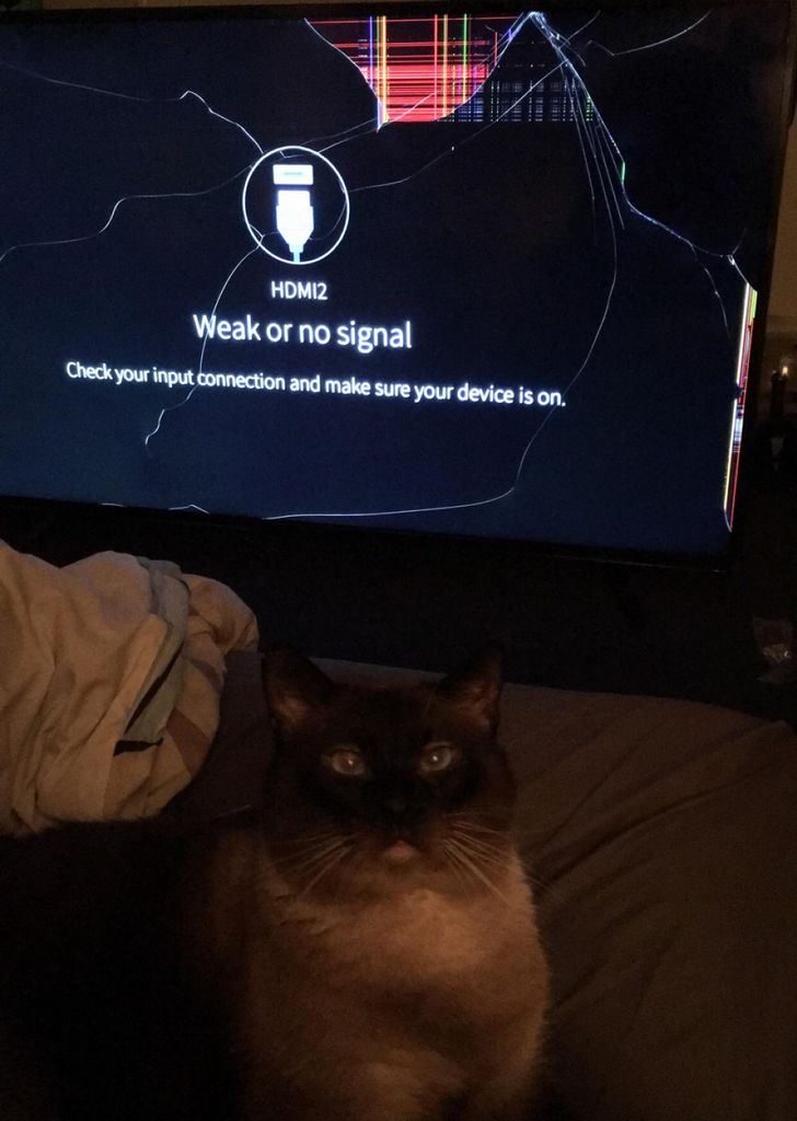 75fe4b5670b9700cb1069ecbd4