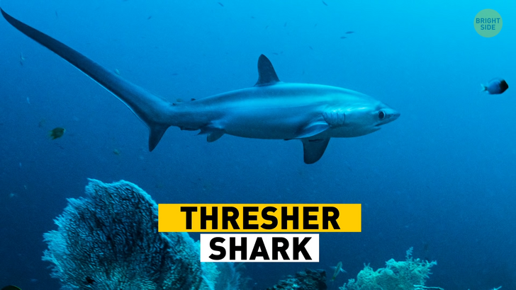 76060d56758fea9868c4cd79d8