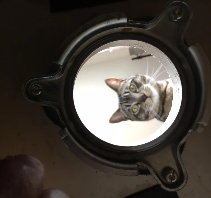 7606c55f8c86b950e87f590b10