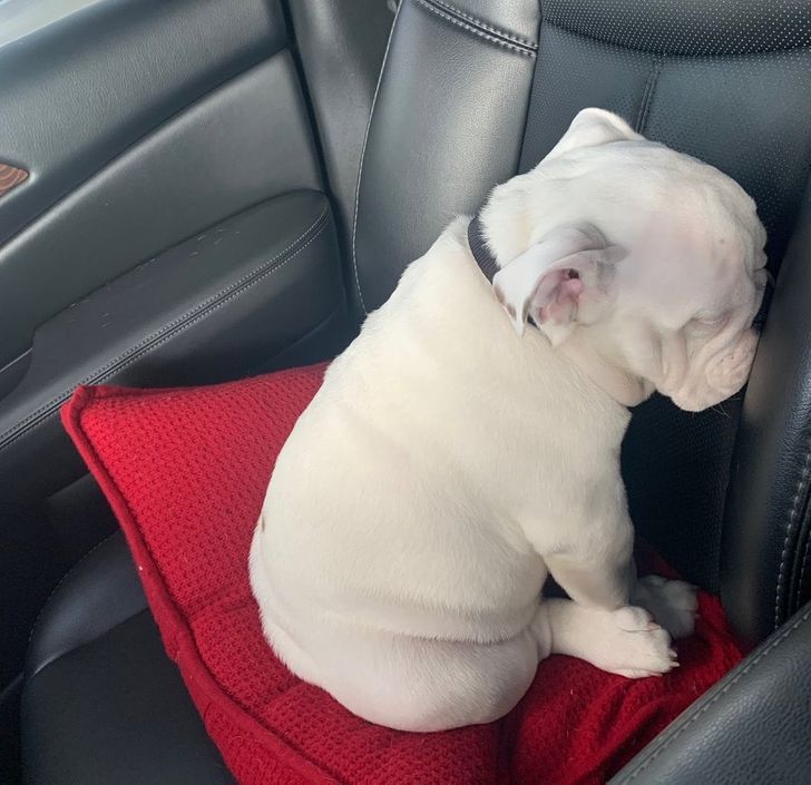 7607a657e3987fd77e11df259b