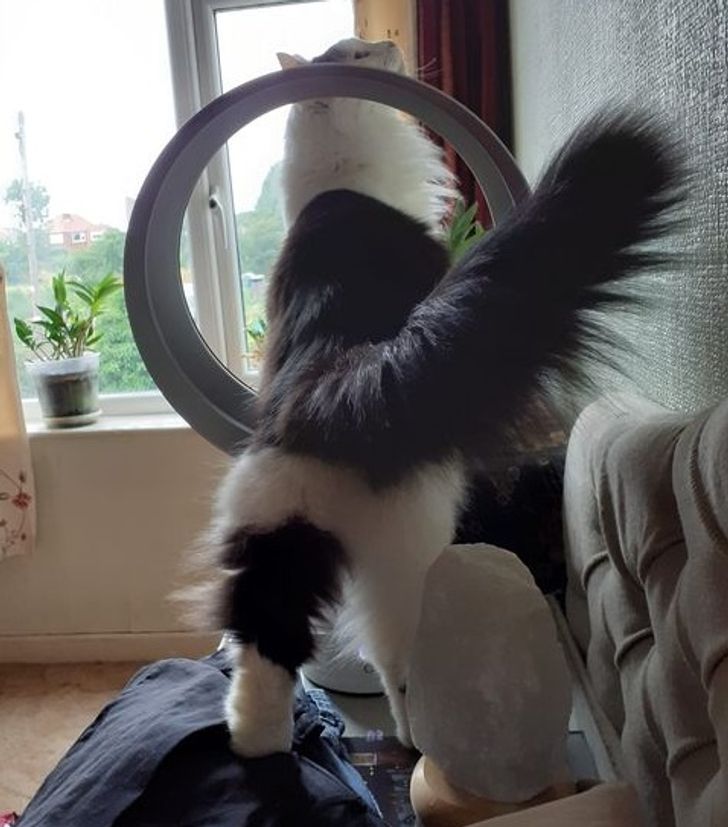 760bf75671bc23ee8e6bb7dc1b