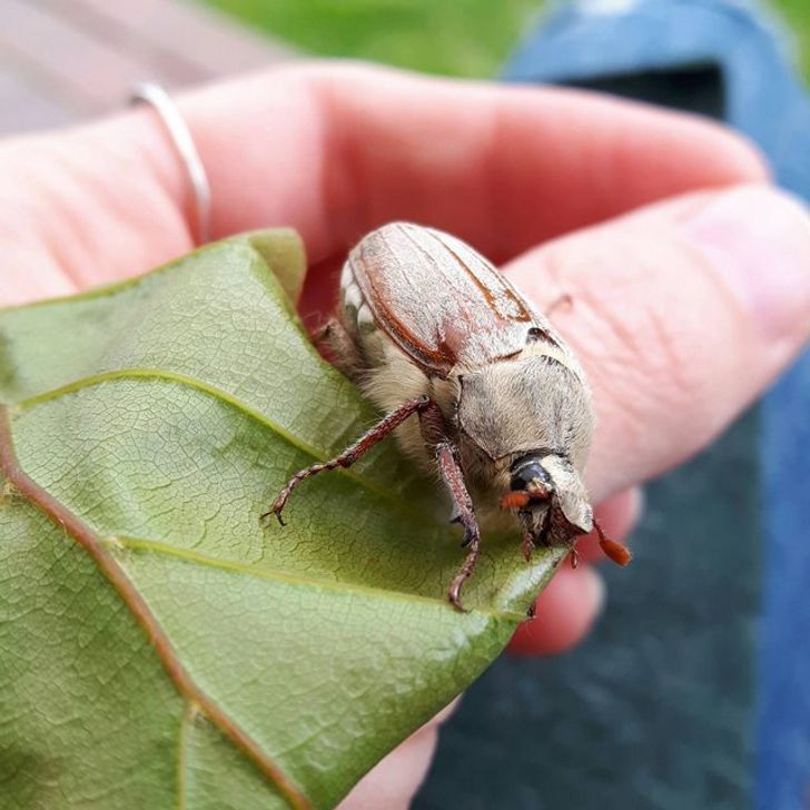 760ec55113aeecc59d8bb0ea3c