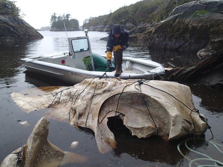 760f9d5848a17b878bb5f50a9a