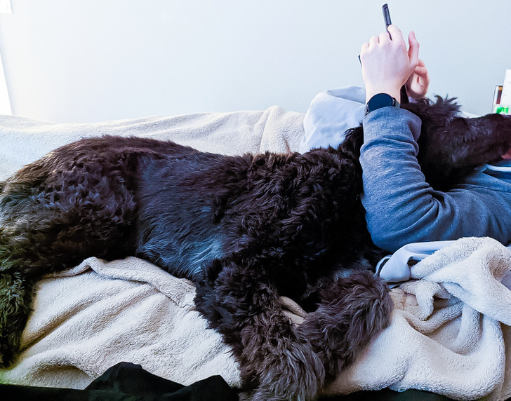 760feb5e32b9b050c8a2521057 760feb5e32b9b050c8a2521057