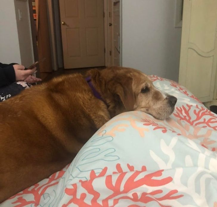 7611bf5b6f80f2c93ad1163a54