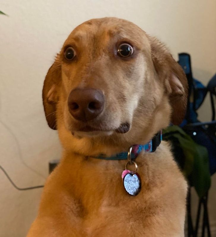 7614875a56a6ac03d3bfea3048