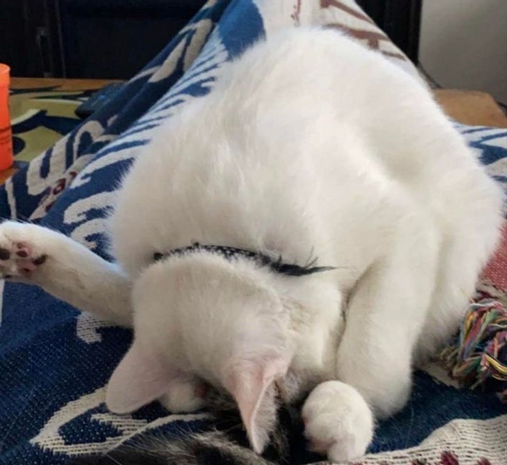 7622005ee1952df46097a31b78