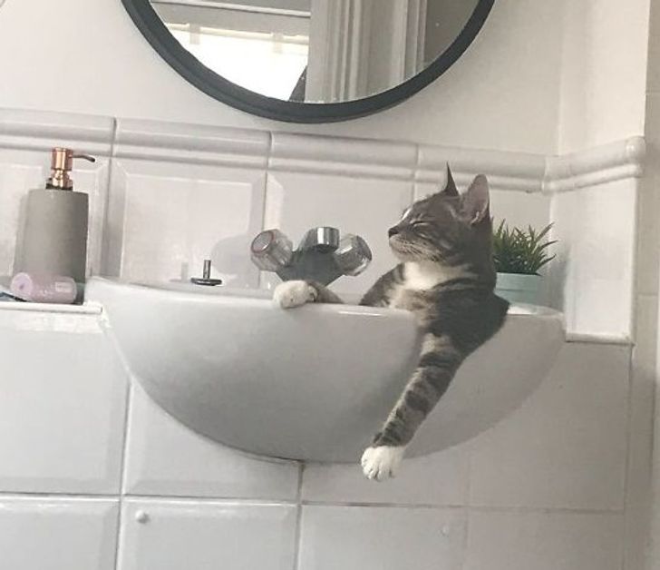 76252a5155879a2f7259405d8f