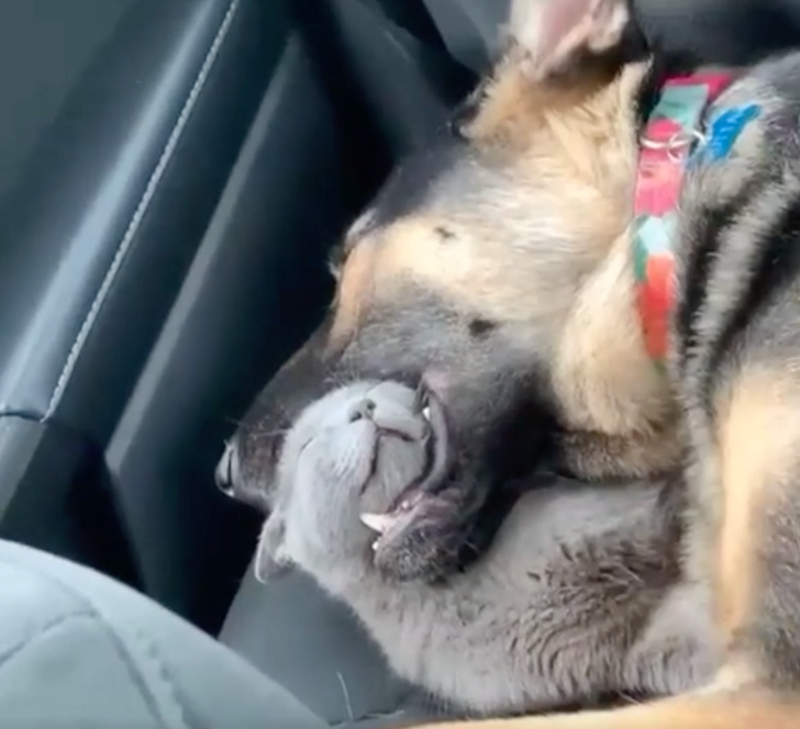 762664590ab72b01fa334866b0