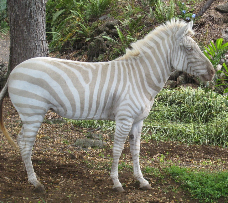 76383b5a6a961780b932ee30eb