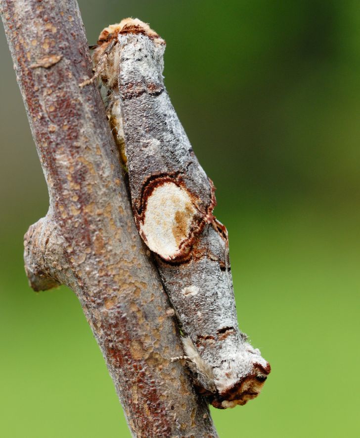 763eab59488109c7906ca52b5b