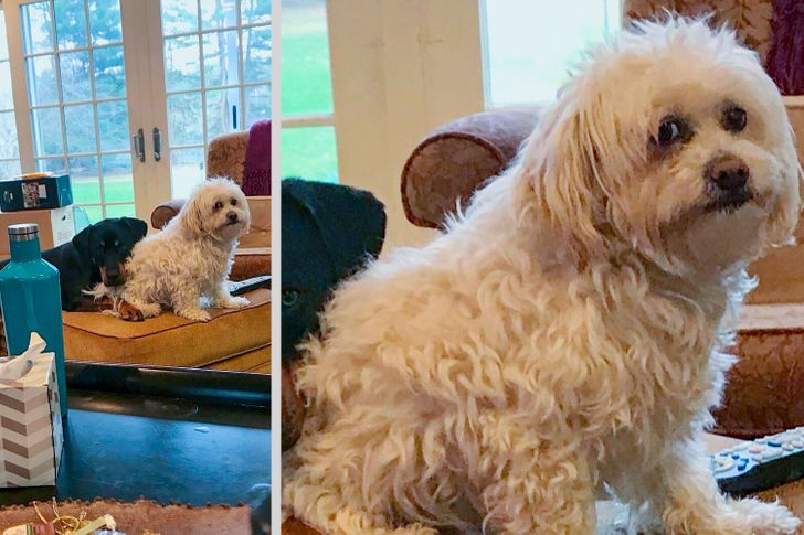 7641d052a5a6ecb1d514e665d2