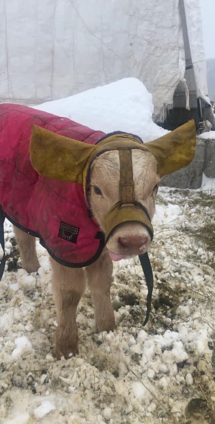 7643805d52a102667e89be66d8