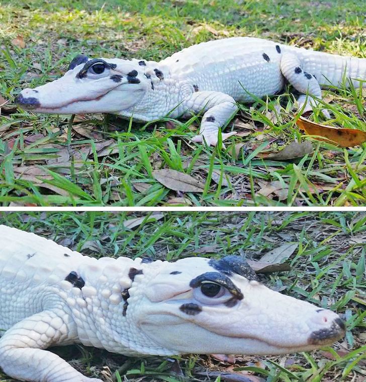 76450650268d40ecdb777cb6b8