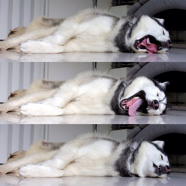 7657615e92836ebae1a17f05a2