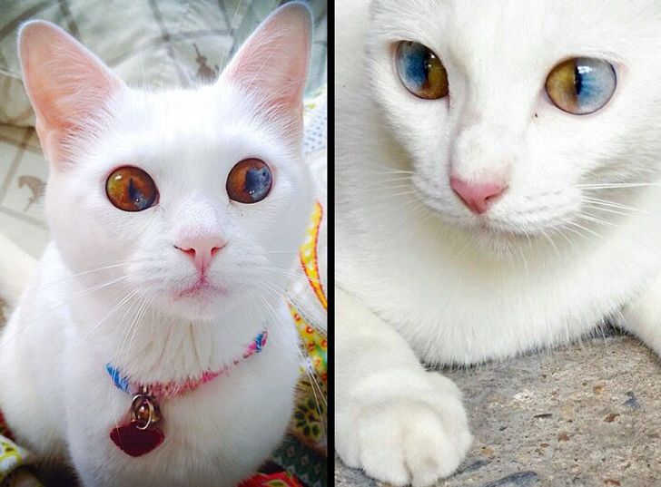 76660f5fd59b85354e16414c4e