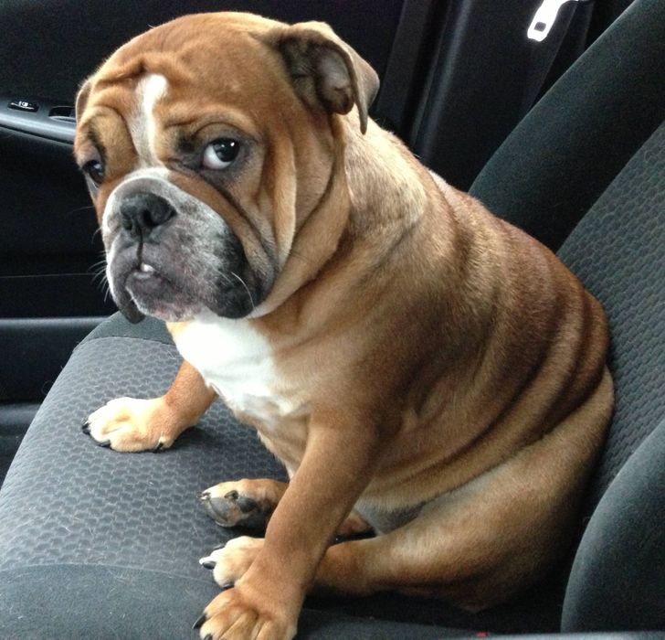 7668005f65b5bed4da8d75a8f1