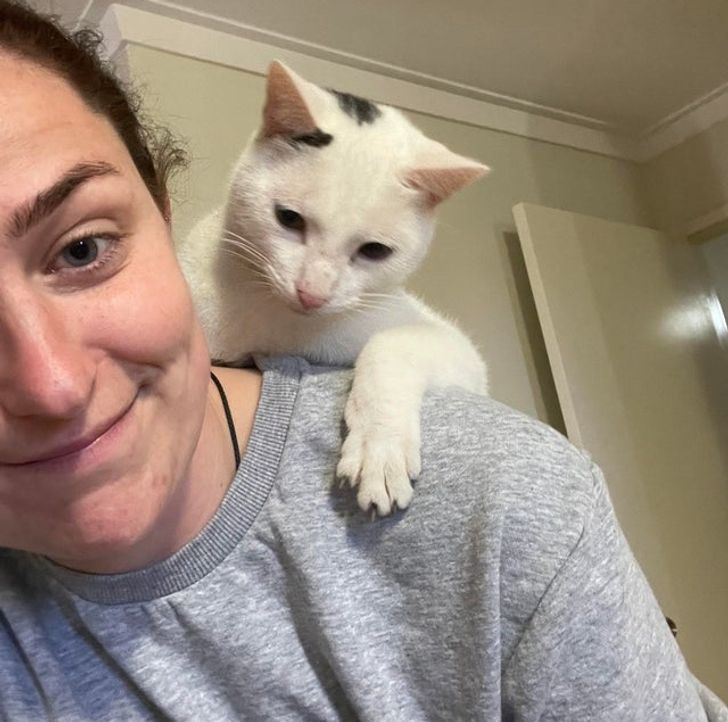 766c0c5581a364a5e2864c04df