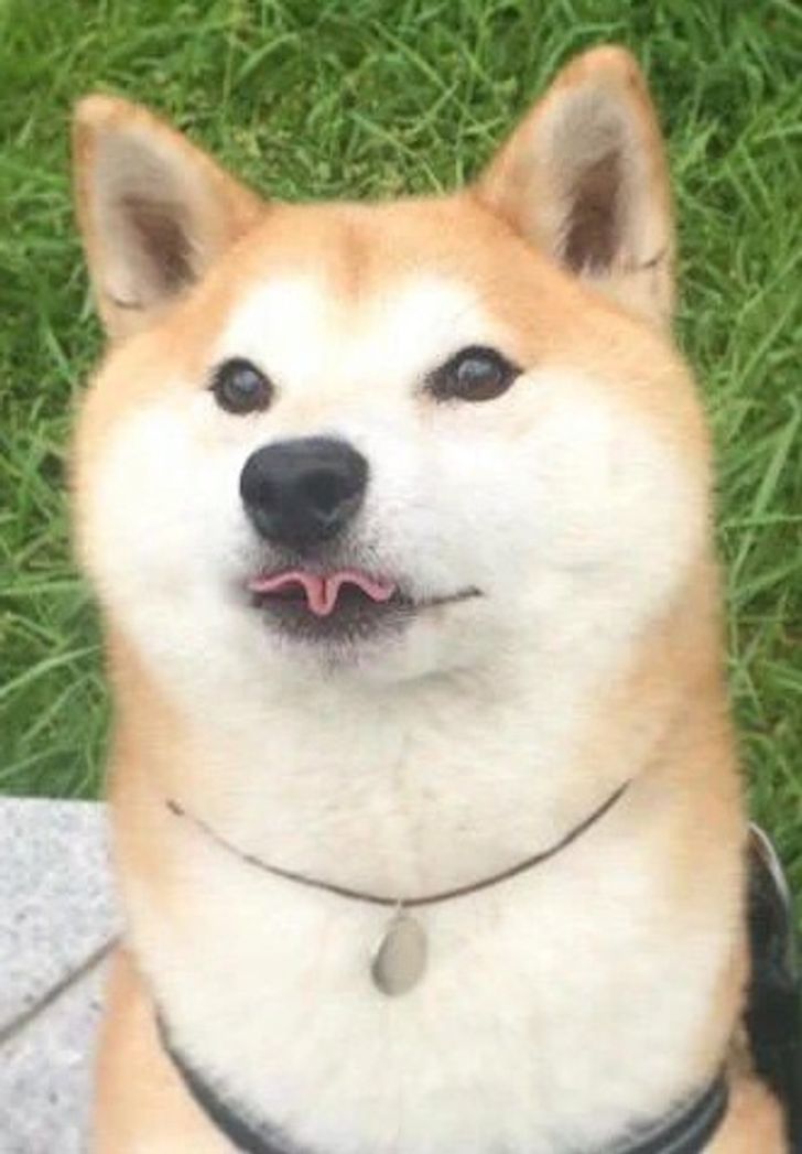 76783754388213ac24efb5ac94