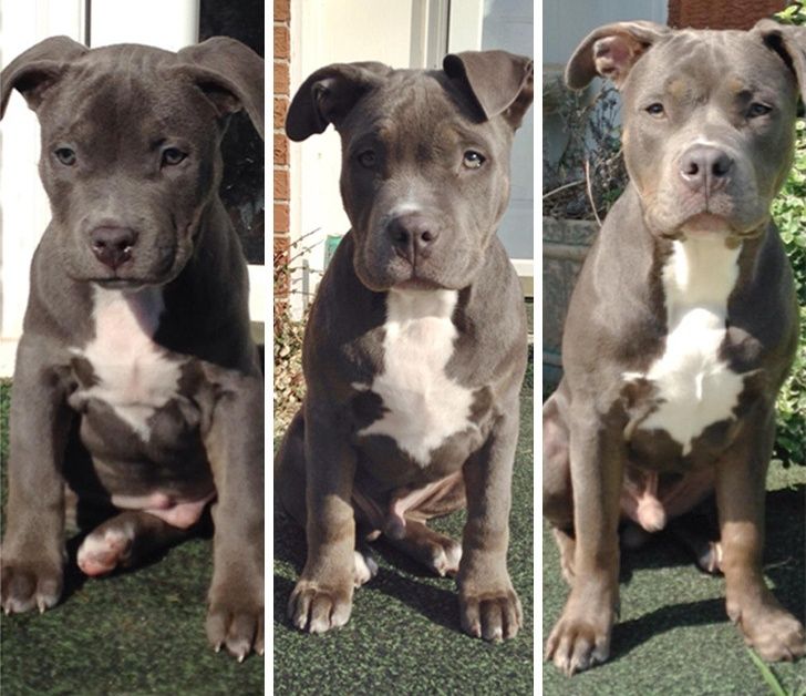 767a4c5ac483dc85d49707f76f