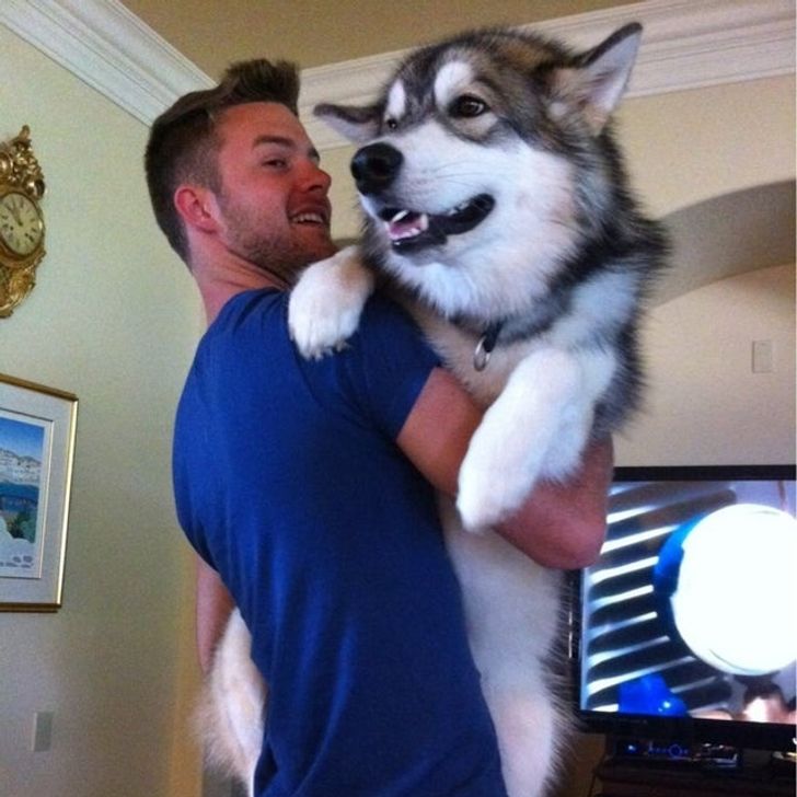 76811156a386c4a15902931fb8