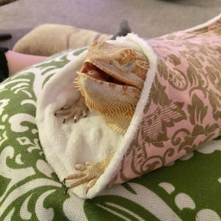 768b045b02b72e1d70a7c8a194