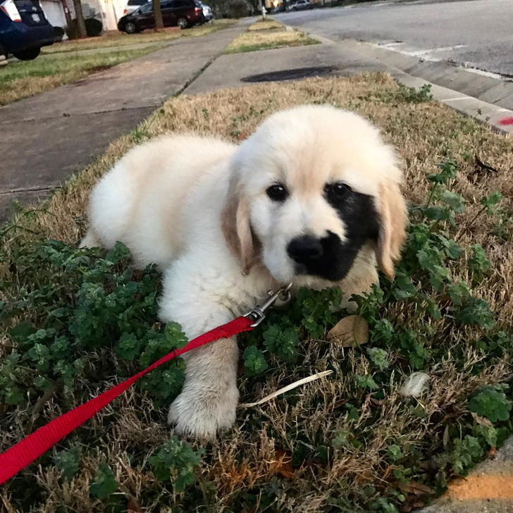 768cd25754bf398d17987a81fe 768cd25754bf398d17987a81fe