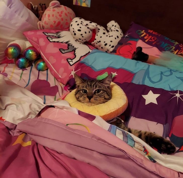 7696f85d39b59eb5e9cece9c18 7696f85d39b59eb5e9cece9c18