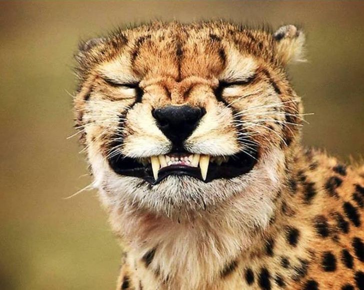 7698eb51aab77d7ccb2a5c3a91