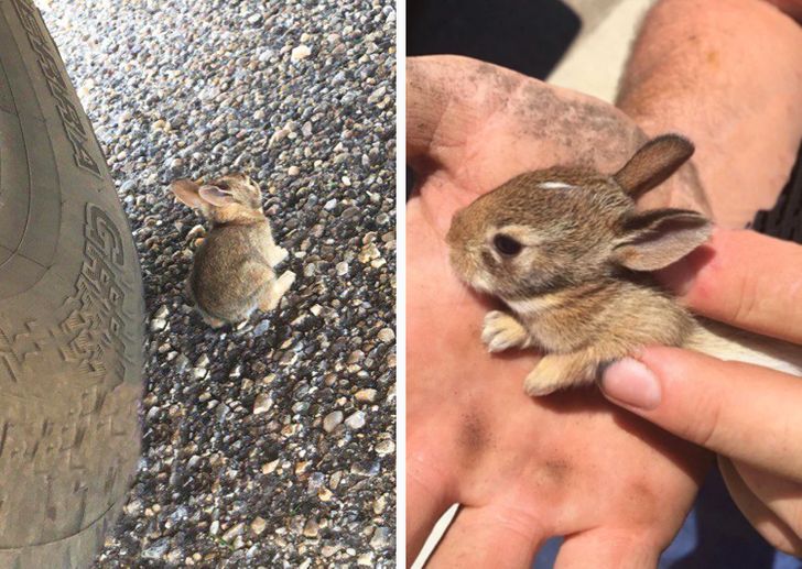 769a4b5729a10d9b62b324594e