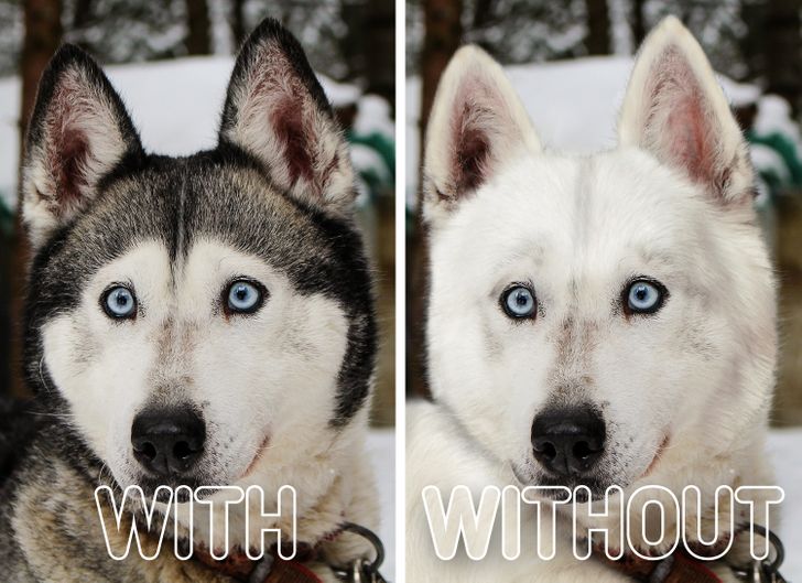 769ee158b9bb3fb2a6e983ced2