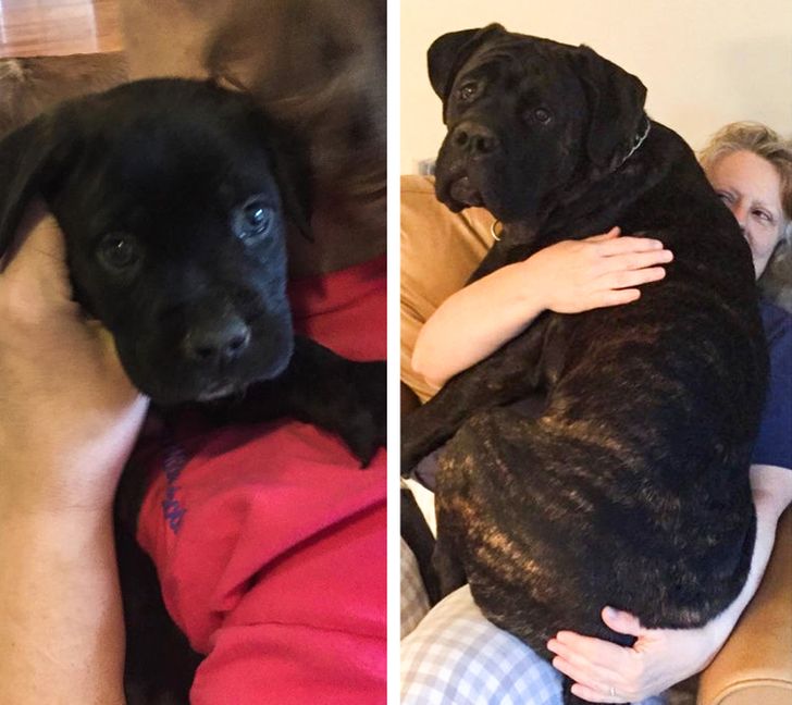 76aac456d0b85b885627da846e