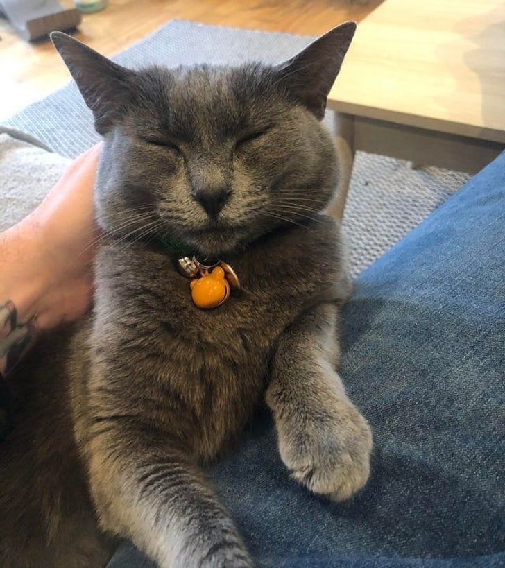 76ad7e500995a8553255ccb329