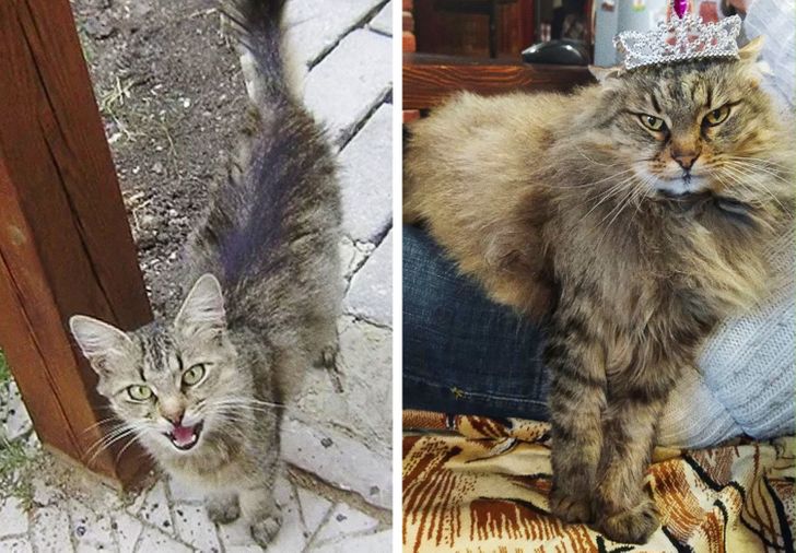 76b23259c49831812daae6f2e2