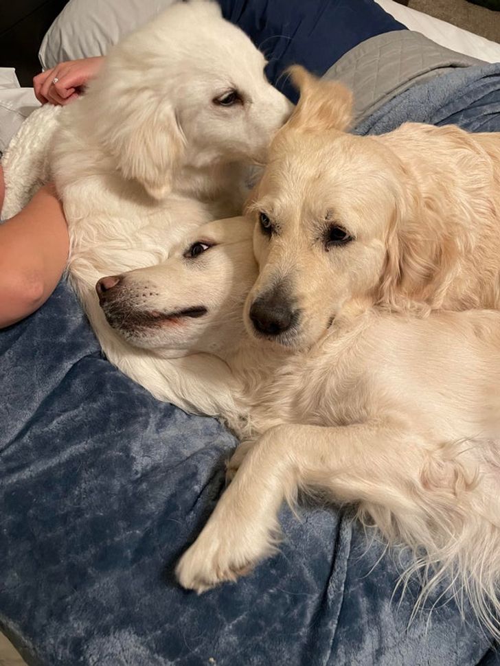 76b30457eba802c02b2909169f