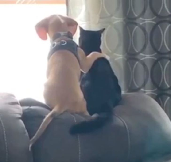 76b6af50269be49bb93161a2eb