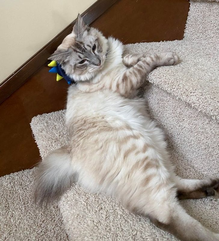 76b8765b89be4877fba4a47f7b 76b8765b89be4877fba4a47f7b