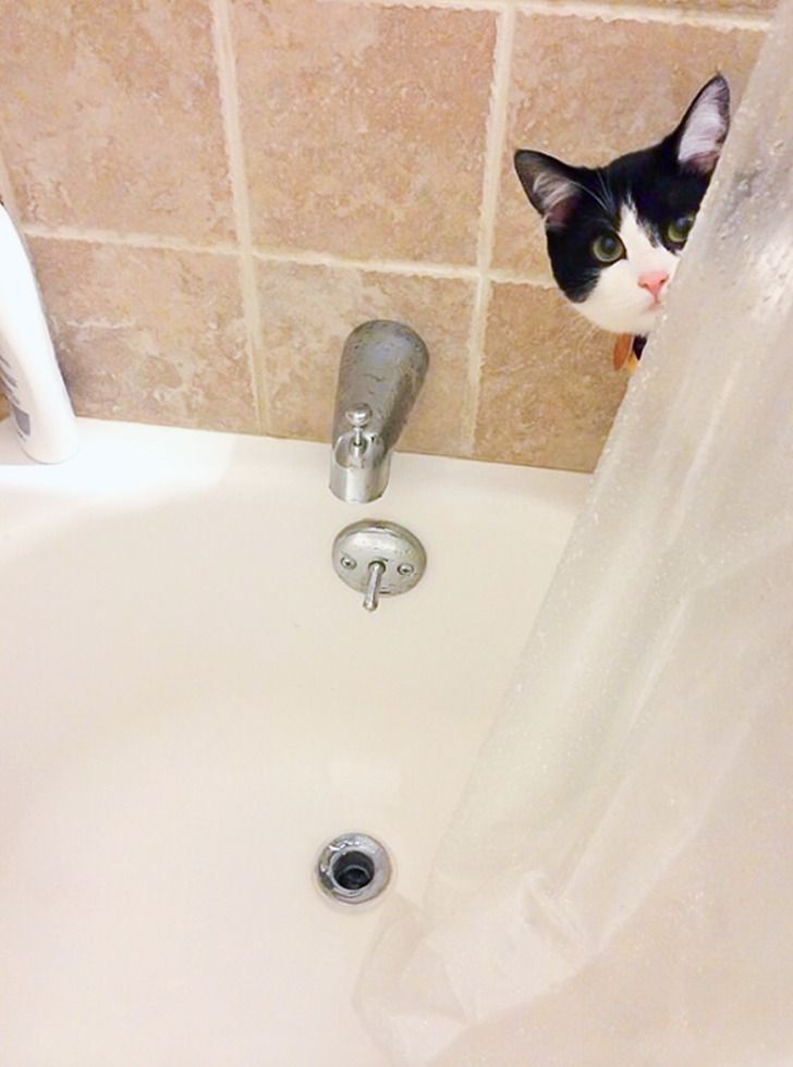 76b90252cbb1188faf97ce4108