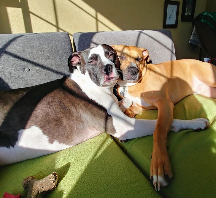 76b96057189da2f11d37acd934